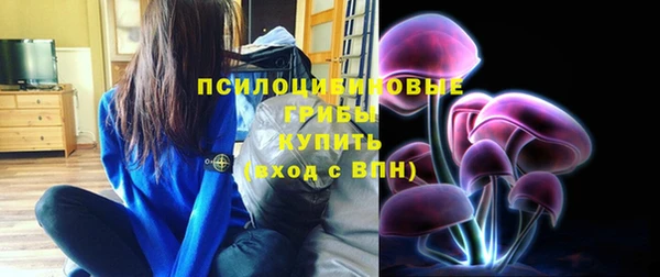 PSILOCYBIN Арсеньев