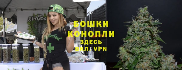 PSILOCYBIN Арсеньев