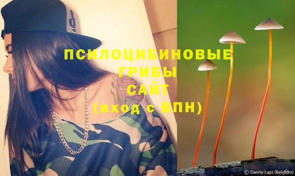 PSILOCYBIN Арсеньев