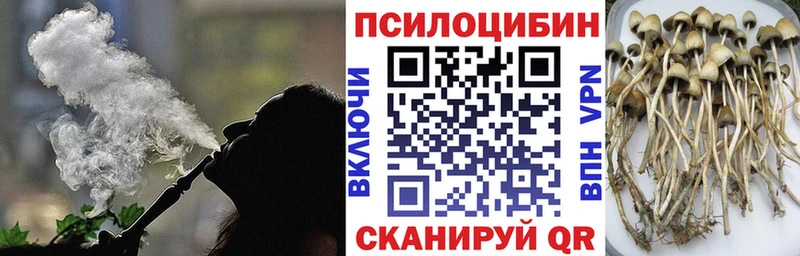 маркетплейс Telegram  закладки  Когалым  Псилоцибиновые грибы Psilocybe 