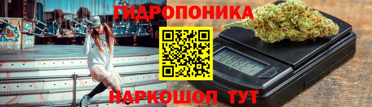 Каннабис планчик Когалым